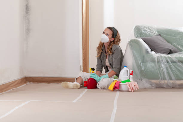 Reliable Commercial Mold Remediation contractor in Jamaica, VA by WQB Mold Removal